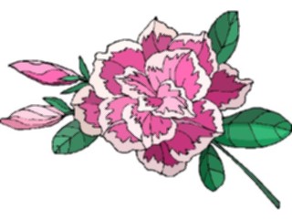 Sticker Custom Preview Image #103533 Plants Flowers Flowers Flower323