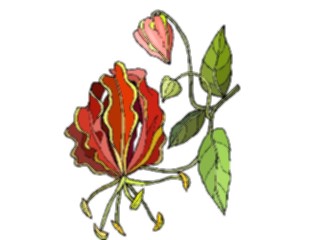 Sticker Custom Preview Image #103534 Plants Flowers Flowers Flower324