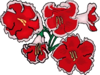 Sticker Custom Preview Image #103535 Plants Flowers Flowers Flower325