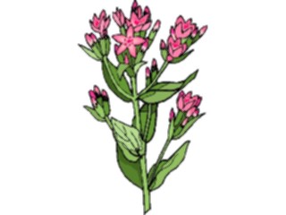 Sticker Custom Preview Image #103537 Plants Flowers Flowers Flower327