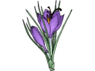 Sticker Custom Preview Image #103538 Plants Flowers Flowers Flower328