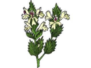 Sticker Custom Preview Image #103539 Plants Flowers Flowers Flower329