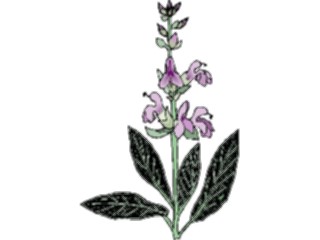 Sticker Custom Preview Image #103541 Plants Flowers Flowers Flower331