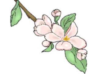 Sticker Custom Preview Image #103542 Plants Flowers Flowers Flower332