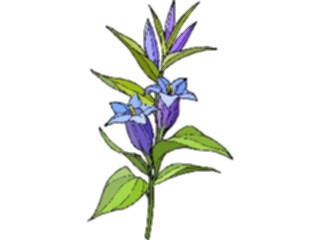 Sticker Custom Preview Image #103545 Plants Flowers Flowers Flower335