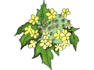 Sticker Custom Preview Image #103550 Plants Flowers Flowers Flower340