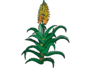 Sticker Custom Preview Image #103553 Plants Flowers Flowers Flower343