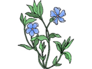 Sticker Custom Preview Image #103554 Plants Flowers Flowers Flower344