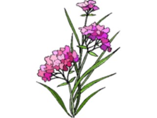 Sticker Custom Preview Image #103559 Plants Flowers Flowers Flower349