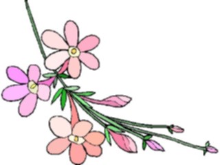 Sticker Custom Preview Image #103560 Plants Flowers Flowers Flower350