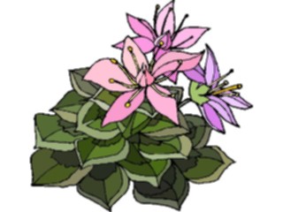 Sticker Custom Preview Image #103561 Plants Flowers Flowers Flower351