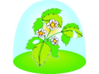 Sticker Custom Preview Image #103562 Plants Flowers Flowers Flower352