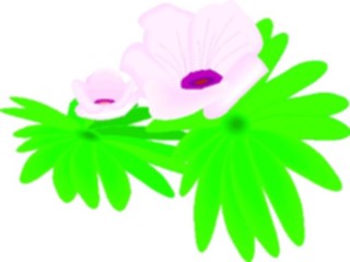 Sticker Custom Preview Image #103572 Plants Flowers Flowers Flower362