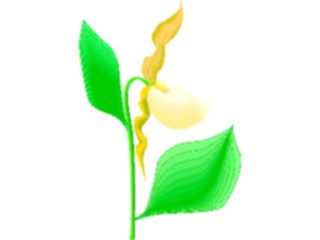 Sticker Custom Preview Image #103573 Plants Flowers Flowers Flower363