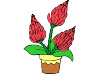 Sticker Custom Preview Image #103574 Plants Flowers Flowers Flower364