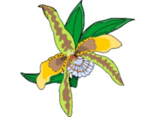 Sticker Custom Preview Image #103583 Plants Flowers Flowers Flower373