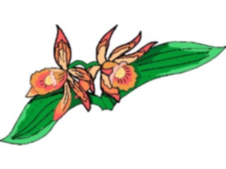 Sticker Custom Preview Image #103584 Plants Flowers Flowers Flower374