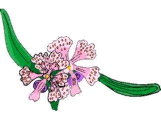 Sticker Custom Preview Image #103585 Plants Flowers Flowers Flower375