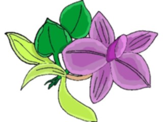 Sticker Custom Preview Image #103586 Plants Flowers Flowers Flower376