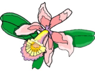 Sticker Custom Preview Image #103587 Plants Flowers Flowers Flower377