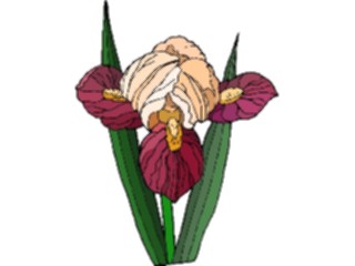 Sticker Custom Preview Image #103591 Plants Flowers Flowers Flower381