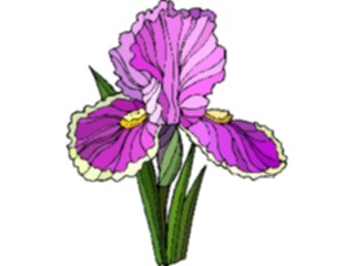 Sticker Custom Preview Image #103593 Plants Flowers Flowers Flower383