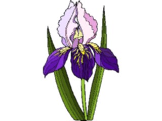 Sticker Custom Preview Image #103594 Plants Flowers Flowers Flower384