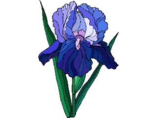 Sticker Custom Preview Image #103595 Plants Flowers Flowers Flower385