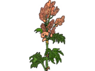 Sticker Custom Preview Image #103597 Plants Flowers Flowers Flower387