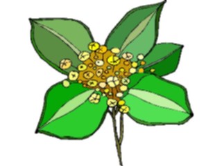 Sticker Custom Preview Image #103598 Plants Flowers Flowers Flower388