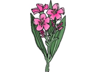 Sticker Custom Preview Image #103600 Plants Flowers Flowers Flower390