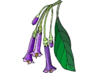 Sticker Custom Preview Image #103603 Plants Flowers Flowers Flower393