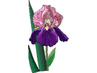 Sticker Custom Preview Image #103605 Plants Flowers Flowers Flower395