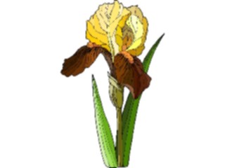 Sticker Custom Preview Image #103607 Plants Flowers Flowers Flower397