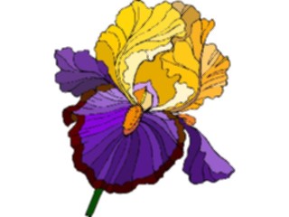 Sticker Custom Preview Image #103609 Plants Flowers Flowers Flower399