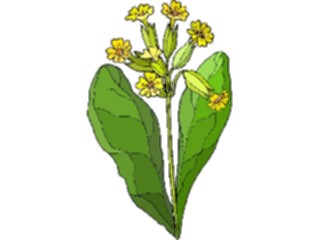 Sticker Custom Preview Image #103610 Plants Flowers Flowers Flower400