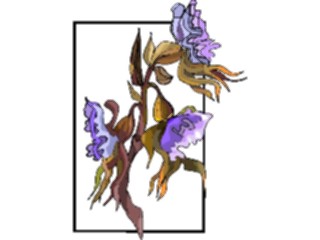 Sticker Custom Preview Image #103612 Plants Flowers Flowers Flower402