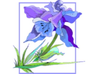 Sticker Custom Preview Image #103614 Plants Flowers Flowers Flower404