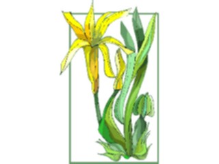 Sticker Custom Preview Image #103615 Plants Flowers Flowers Flower405