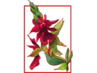 Sticker Custom Preview Image #103616 Plants Flowers Flowers Flower406