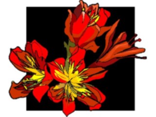 Sticker Custom Preview Image #103619 Plants Flowers Flowers Flower409