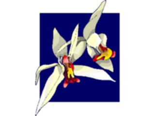 Sticker Custom Preview Image #103620 Plants Flowers Flowers Flower410