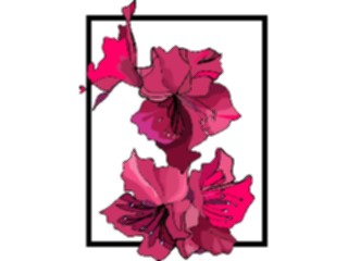 Sticker Custom Preview Image #103621 Plants Flowers Flowers Flower411