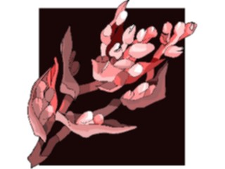 Sticker Custom Preview Image #103622 Plants Flowers Flowers Flower412