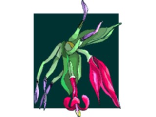 Sticker Custom Preview Image #103623 Plants Flowers Flowers Flower413