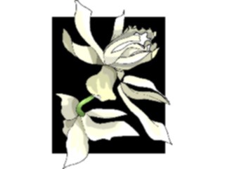 Sticker Custom Preview Image #103625 Plants Flowers Flowers Flower415