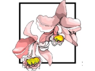 Sticker Custom Preview Image #103627 Plants Flowers Flowers Flower417