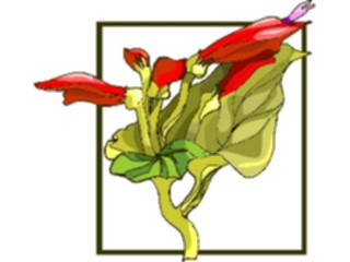 Sticker Custom Preview Image #103630 Plants Flowers Flowers Flower420