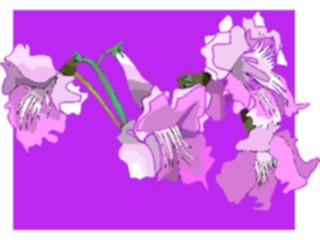 Sticker Custom Preview Image #103632 Plants Flowers Flowers Flower422