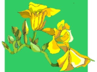 Sticker Custom Preview Image #103635 Plants Flowers Flowers Flower425